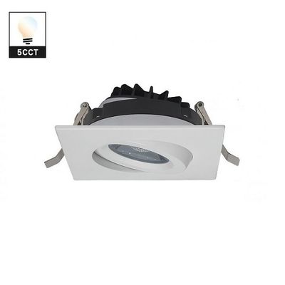 Indoor White Dimmable LED Downlights 4 Inches AC12V  60Hz Square COB